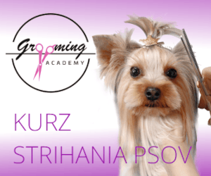Kurz strihania psov