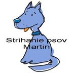 Strihanie psov Veterinárna klinika Martin | Martin | Salón pre psov | Salonprepsy.sk